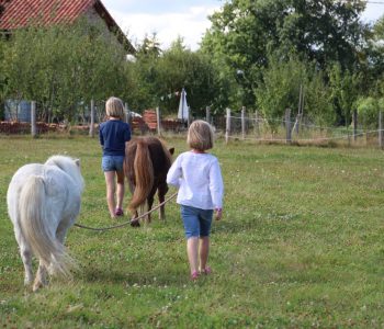 kinderen met ponies